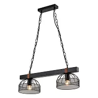 Светильник подвесной Fishers LSP-8799 Lussole чёрный 2 лампы, основание чёрное в стиле лофт современный 