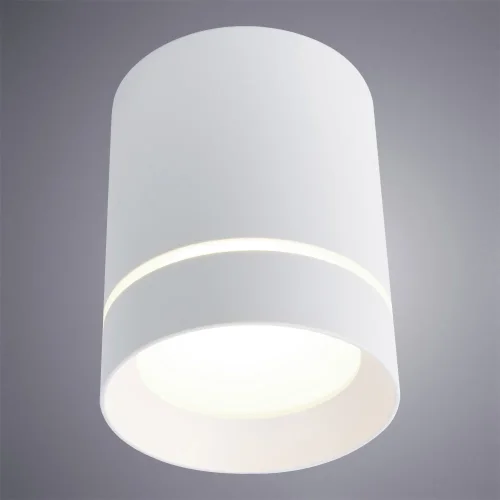Светильник накладной LED Elle A1949PL-1WH Arte Lamp белый 1 лампа, основание белое в стиле современный круглый фото 2
