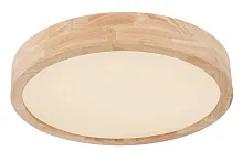 Светильник потолочный ЛЕД Линара (Leanara) 41756-24 Globo белый на 1 лампу, основание белое в стиле хай-тек современный 