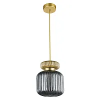 Светильник подвесной Hamal A6170SP-1GO Arte Lamp чёрный серый 1 лампа, основание золотое в стиле модерн лофт выдувное