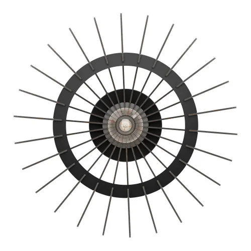 Светильник потолочный Cossano 901001 Eglo чёрный на 1 лампу, основание чёрное в стиле современный кантри фото 2 Светильник потолочный Cossano 901001 Eglo чёрный на 1 лампу, основание чёрное в стиле современный кантри фото 2