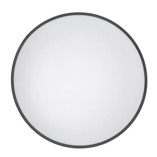 Светильник потолочный Agnes Round Pro 10974-NW Nowodvorski белый на 1 лампу, основание чёрное в стиле современный фото 4