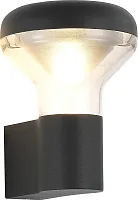 Настенный светильник LED уличный Drop SL9541.701.01 ST-Luce уличный IP54 серый на 1 лампу, плафон прозрачный в стиле хай-тек современный LED