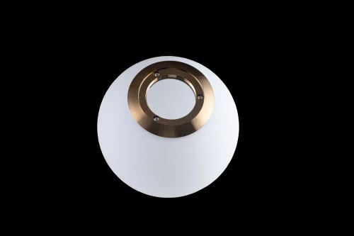 Светильник подвесной Glob LOFT2595-A LOFT IT белый 1 лампа, основание медь в стиле современный шар фото 3