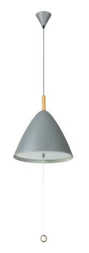 Светильник подвесной Pura 15325G Globo серый 3 лампы, основание серое в стиле современный  фото 2