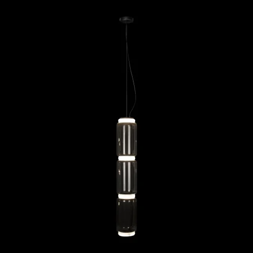 Светильник подвесной LED Noctambule 10194/L LOFT IT прозрачный 1 лампа, основание чёрное в стиле современный  фото 4