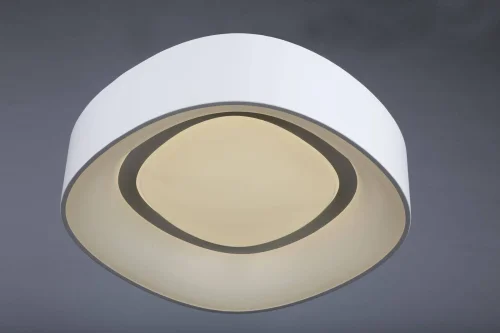 Люстра потолочная LED Enfield OML-45207-51 Omnilux белая на 1 лампа, основание белое в стиле хай-тек  фото 2