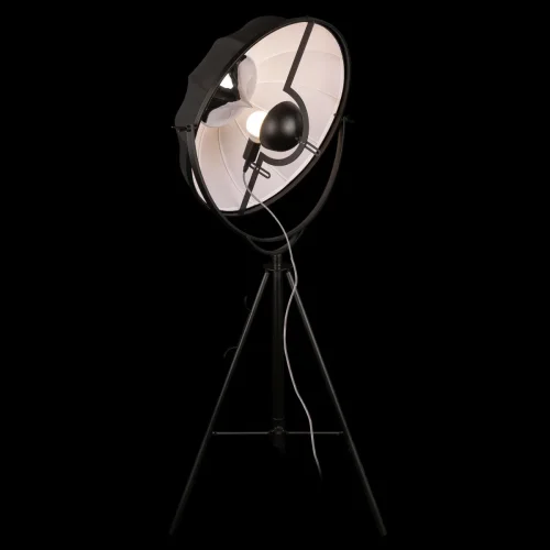 Торшер Studio 10301/M LOFT IT  чёрный 1 лампа, основание чёрное в стиле лофт
 фото 3