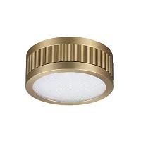 Светильник накладной LED Manchester 7013/7CL Odeon Light бронзовый на 1 лампу, основание бронзовое в стиле современный 