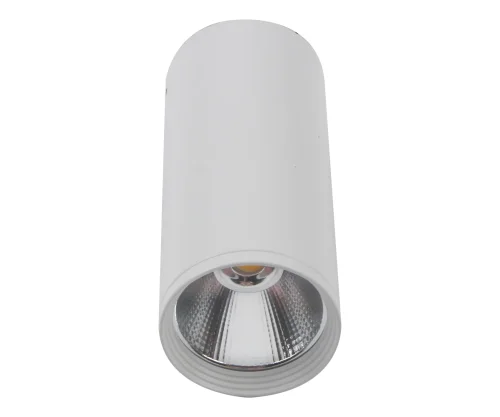 Светильник накладной LED Фабио 08570-12,01 Kink Light белый 1 лампа, основание белое в стиле современный круглый