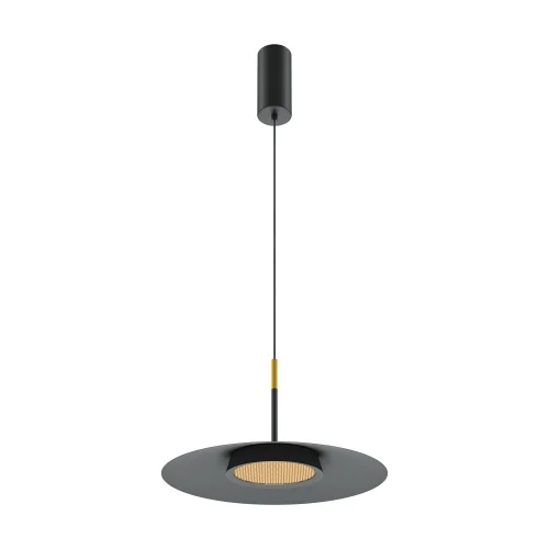 Светильник подвесной LED El MOD041PL-L15B3K1 Maytoni чёрный 1 лампа, основание чёрное в стиле современный 