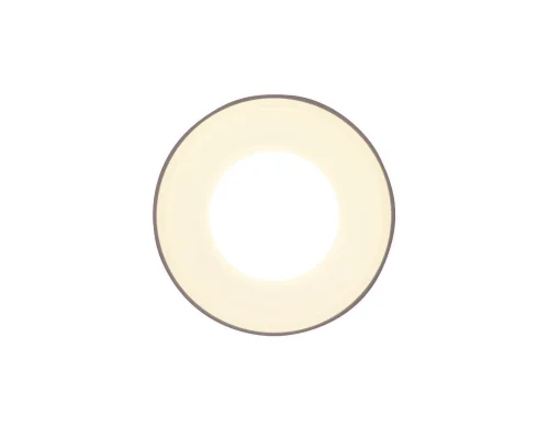 Светильник накладной TN3202 Ambrella light белый 1 лампа, основание белое в стиле современный круглый фото 4