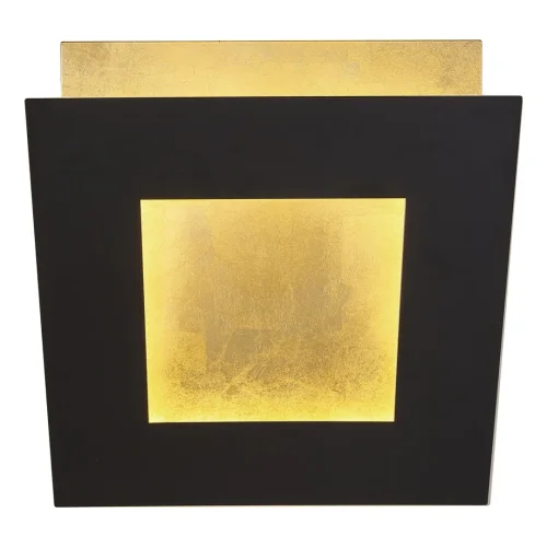 Бра LED Dalia 8145 Mantra золотой чёрный на 1 лампа, основание золотое чёрное в стиле современный хай-тек 