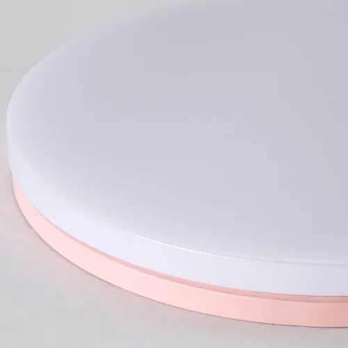 Светильник потолочный DISC HALF D26 Pink 193123-26 ImperiumLoft белый 1 лампа, основание розовое в стиле современный  фото 13