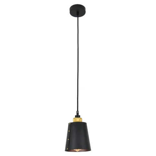 Светильник подвесной лофт LSP-9861 Lussole чёрный 1 лампа, основание чёрное бронзовое в стиле лофт  фото 2