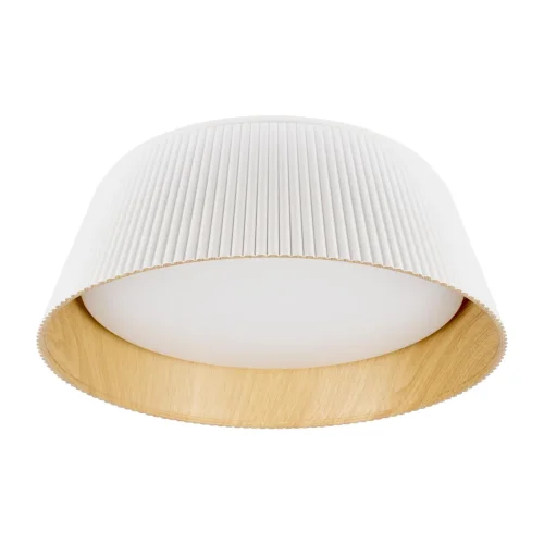 Светильник потолочный LED Evans 10224 White LOFT IT белый 1 лампа, основание коричневое белое в стиле современный 