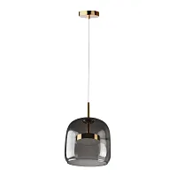 Светильник подвесной LED Dauphin 10041A LOFT IT чёрный 1 лампа, основание золотое в стиле модерн выдувное