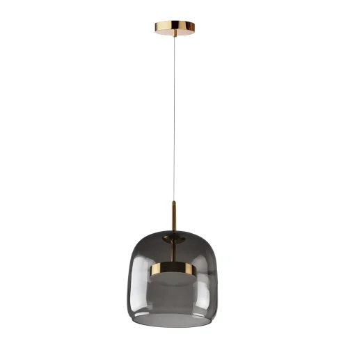 Светильник подвесной LED Dauphin 10041A LOFT IT чёрный 1 лампа, основание золотое в стиле современный выдувное