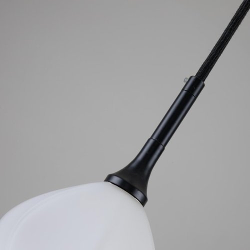 Светильник подвесной Suri 2688-1P Favourite белый 1 лампа, основание чёрное в стиле флористика  фото 6