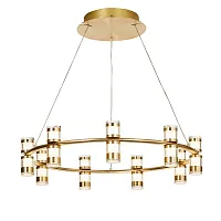 Люстра подвесная LED Ampullen 4323-9P Favourite прозрачная на 9 ламп, основание золотое в стиле современный кольца