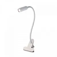 Настольная лампа на прищепке LED с выключателем Ньютон CL803060N Citilux белая 1 лампа, основание белое металл в стиле хай-тек 