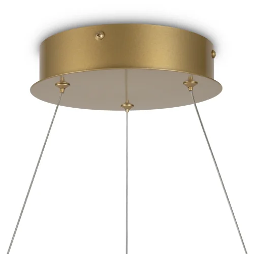 Светильник подвесной LED Nola MOD100PL-L88BSK1 Maytoni латунь 1 лампа, основание латунь в стиле современный минимализм кольца фото 7