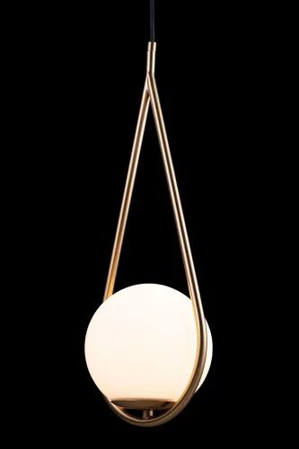 Светильник подвесной Glob LOFT2599-A LOFT IT белый 1 лампа, основание медь в стиле современный  фото 6