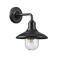 Настенный светильник Campa 4965/1W Odeon Light уличный IP44 чёрный 1 лампа, плафон прозрачный в стиле классика E27