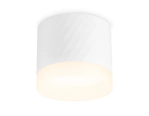 Светильник накладной TN535 TN5353 Ambrella light белый 1 лампа, основание белое в стиле хай-тек современный круглый