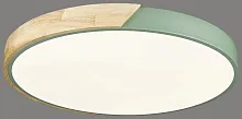 Светильник потолочный LED с пультом 445-447-01 Velante белый 1 лампа, основание коричневое зелёное в стиле кантри современный тарелка с пультом