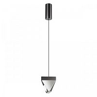 Светильник подвесной LED Ray 6677/5L Odeon Light прозрачный 1 лампа, основание чёрное в стиле модерн 