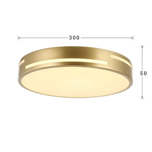 Светильник потолочный LED Pall 2745-1C F-promo белый 1 лампа, основание золотое в стиле современный  фото 2