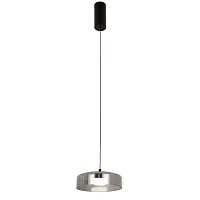 Светильник подвесной LED Platta 4490-1P Favourite прозрачный на 1 лампу, основание чёрное в стиле современный 