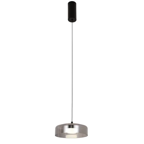 Светильник подвесной LED Platta 4490-1P Favourite прозрачный на 1 лампу, основание чёрное в стиле современный 