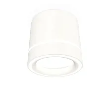 Светильник накладной XS8110004 Ambrella light белый 1 лампа, основание белое в стиле хай-тек круглый