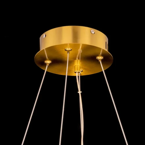 Люстра подвесная LED с пультом Рианна CL337053 Citilux прозрачная на 1 лампа, основание бронзовое в стиле современный лофт арт-деко с пультом фото 10