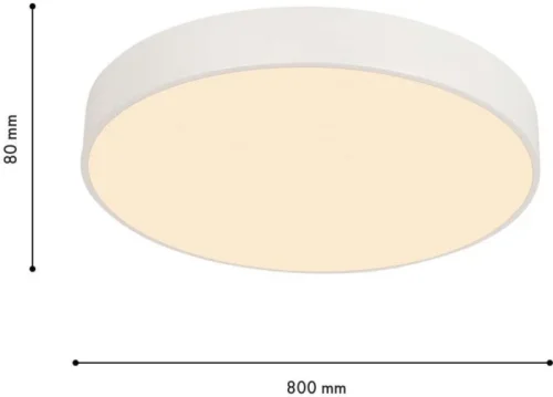 Светильник потолочный LED с пультом Arena 4685-8C F-promo белый на 1 лампу, основание белое в стиле современный круглый фото 2