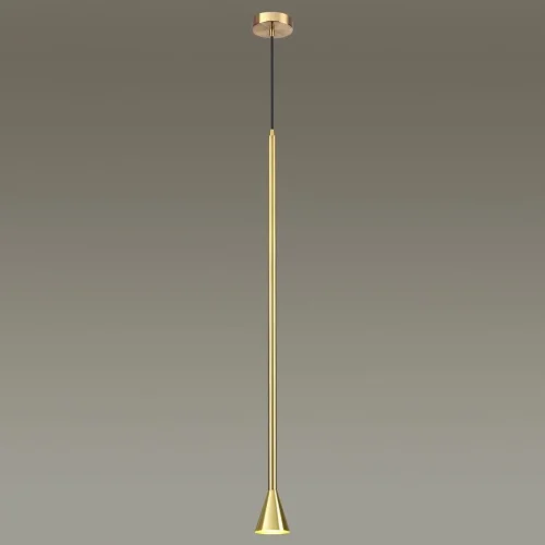Светильник подвесной Pipa 3884/1G Odeon Light золотой 1 лампа, основание золотое в стиле современный  фото 2