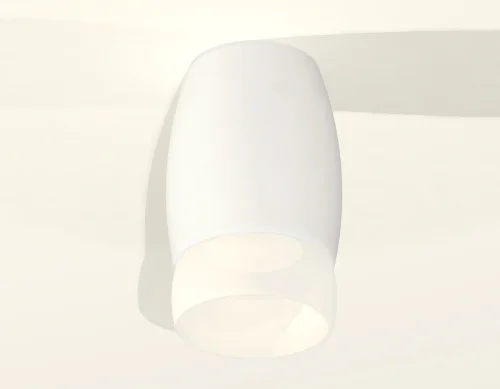 Светильник накладной Techno spot XS1122024 Ambrella light белый 1 лампа, основание белое в стиле современный круглый фото 2