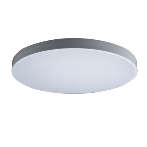 Светильник потолочный LED Axel 10002/48 White LOFT IT белый 1 лампа, основание белое в стиле модерн 