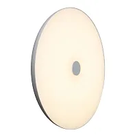 Светильник потолочный LED RGB с пультом Melofon OML-47317-48 Omnilux белый 1 лампа, основание белое в стиле хай-тек современный с пультом