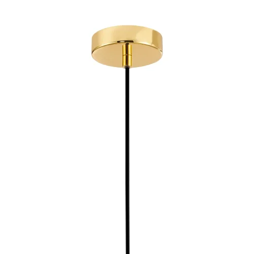 Светильник подвесной Sangamarmer 3010-1P Favourite белый 1 лампа, основание золотое в стиле современный  фото 3