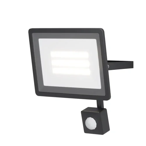 Прожектор LED с датчиком движения Flood FL001-L30B6KSR Maytoni уличный IP чёрный 1 лампа, плафон прозрачный в стиле современный хай-тек LED фото 4