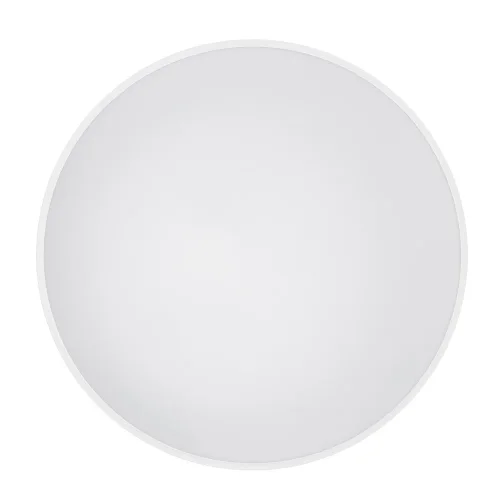 Светильник потолочный Agnes Round Pro 10979-NW Nowodvorski белый на 1 лампу, основание белое в стиле современный фото 4