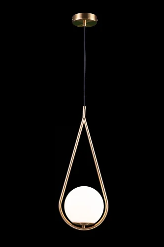 Светильник подвесной Glob LOFT2599-A LOFT IT белый 1 лампа, основание медь в стиле современный  фото 2