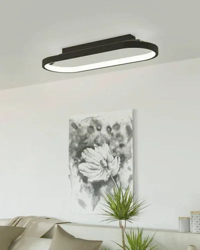 Светильник потолочный LED Codriales 900631 Eglo чёрный на 1 лампу, основание чёрное в стиле современный хай-тек фото 2
