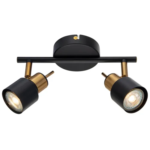 Спот с 2 лампами Almach A1906PL-2BK Arte Lamp чёрный GU10 в стиле современный 