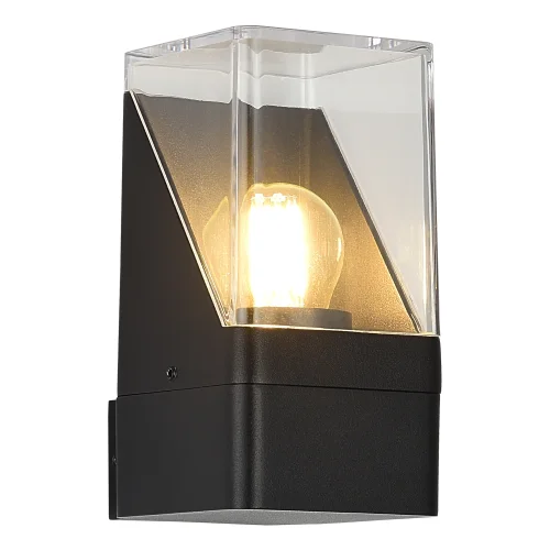 Настенный светильник уличный Slide SL9016.401.01 ST-Luce уличный IP65 чёрный на 1 лампу, плафон прозрачный в стиле современный E27
