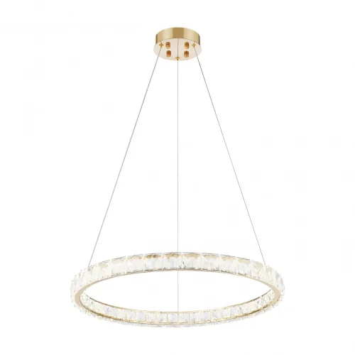 Люстра подвесная LED с пультом AM-Venezia 311311/D600 GD Arte Milano прозрачная на 1 лампу, основание золотое в стиле современный кольца с пультом фото 12