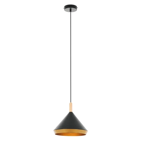 Светильник подвесной Adele MR1380-1P MyFar чёрный 1 лампа, основание чёрное в стиле современный скандинавский лофт  фото 2
